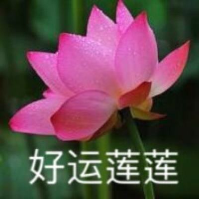 霄白城长篇小说《将军岸》出版发行